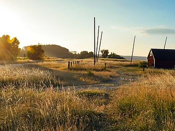 Warmer Abend im S&uuml;den Schwedens (Osterlen, Sk&aring;ne). Malerischer Blick auf die Landschaft w&auml;hrend der goldenen Stunde.  Warm evening in the South of Sweden (Osterlen, Skane). Scenic view of the landscape during the yellow hour.