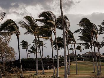 Hurrikanwarnung auf Hawaii: Sturm &laquo;Lala&raquo; n&auml;hert sich