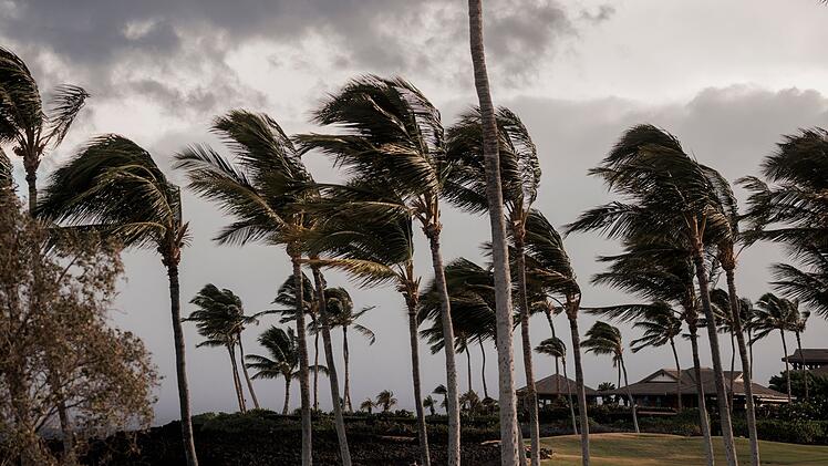 Hurrikanwarnung auf Hawaii: Sturm &laquo;Lala&raquo; n&auml;hert sich