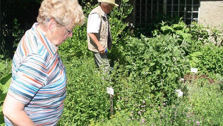 Im Kräutergarten gab es viele und auch seltene Kräuter zu entdecken.