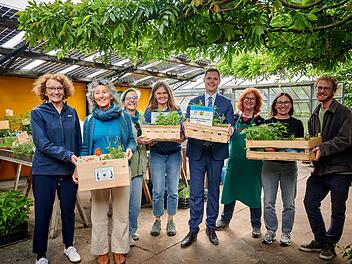Bamberg: Kostenlose Pflanzpakete - Dankeschön an Baumpaten Bamberg: Kostenlose Pflanzpakete - Dankeschön an Baumpaten