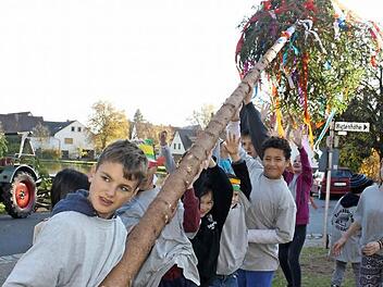 Die "Kinderfichte", die heuer zum ersten Mal bei der Kerwa in Ailsbach aufgestellt wurde, war zwölf Meter lang.  Fotos: Sonja Werner