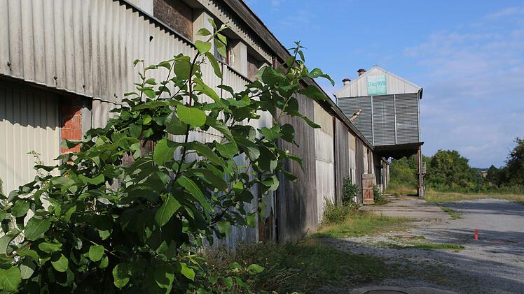 Die Hallen auf dem so genannten Jägergrundstück müssen weg. Dort soll ein Parkplatz entstehen. In der nächsten Stadtratssitzung werden drei Aufträge vergeben. Thomas Malz