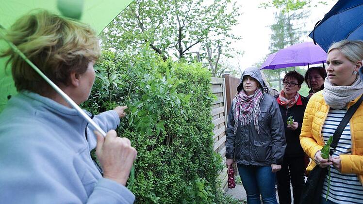 Kräuterseminar: Impressionen einer Entdeckungsreise Foto: Barbara Herbst