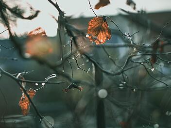 Der Monat Oktober verläuft 2022 sehr mild