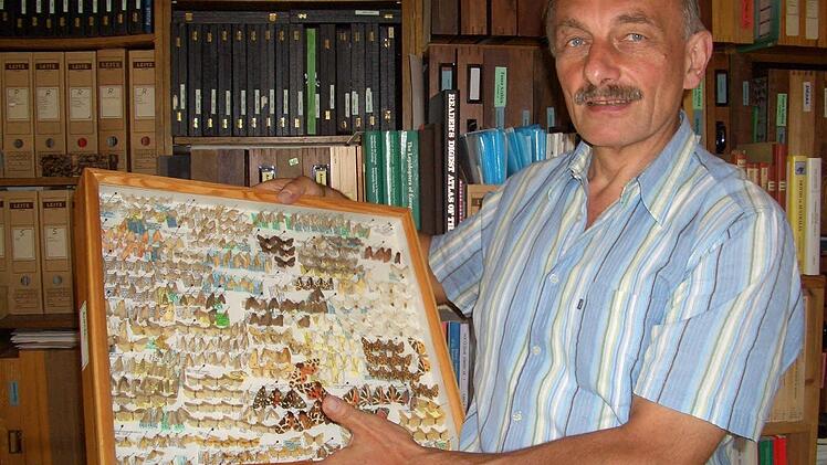 Hermann Hacker mit einem winzigen Teil seiner Schmetterlingssammlung. Fotos: Matthias Einwag