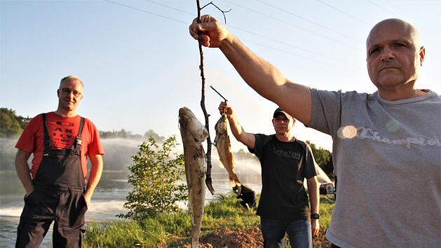 Bernd Czelustek (links), Kommandant der Freiwilligen Feuerwehr in Hausen, sagte sofort zu, Christopher Wex und Uwe Kiesel (rechts) von den Bad Kissinger Sportanglern zu helfen. Die Angler halten jeweils einen toten Zander hoch, die die Sauerstoffarmut nicht überlebten. Foto: Susanne Will