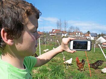 Hier ist Paul dabei, die Hühner auf Nachbars Wiese zu fotografieren. Am besten gefällt ihm, wenn sich die Hühner zoffen und jagen. Dann ist die Herausforderung beim Fotografieren größer. Fotos: Kathrin Kupka-Hahn