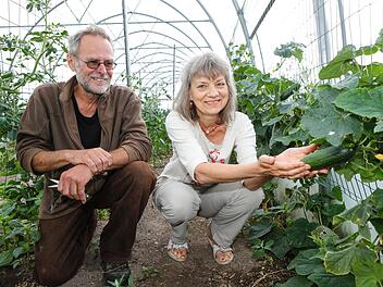 Solawi-Bauer Gerhard Rühl zeigt Ernteteilerin Michaela Mühmer, was er im Gewächshaus anbaut. Foto: Matthias Hoch