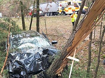 Erst durchbrach der Unfallwagen einen Wildschutzzaun, dann prallte er gegen einen Baum. Foto: News5/Merzbach