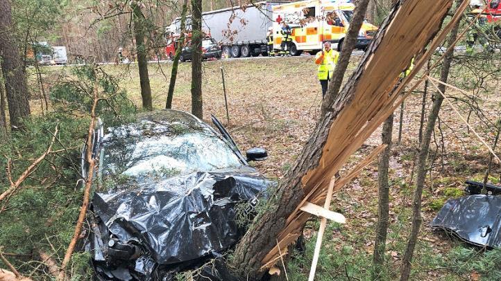 Erst durchbrach der Unfallwagen einen Wildschutzzaun, dann prallte er gegen einen Baum. Foto: News5/Merzbach