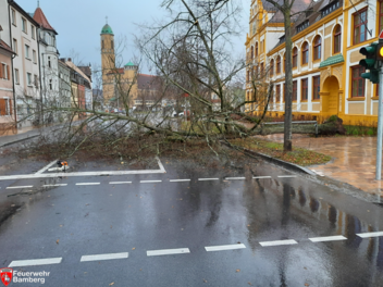 Bamberg: 20 Meter hoher Baum an Luitpoldschule knickt um - Memmelsdorfer Straße blockiert