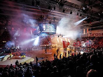 Die Fans in der Frankenhölle werden ab Dienstag wieder jubeln. Doch wie geht es nach 2019 mit dem Spitzensport in Bamberg weiter?