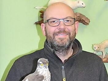 Oliver Bauer ist der neue Leiter der Jägerschule Kronach. Seine Lieblinge sind Federwild, hier hat er ein Präparat eines Sperbers. Foto: K.- H. Hofmann