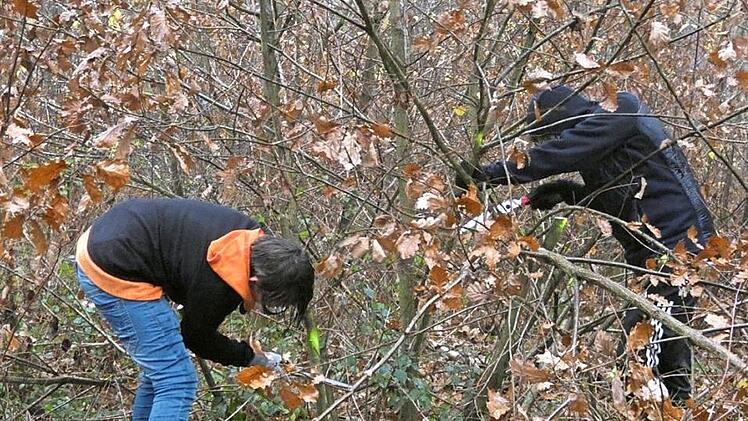 Mit S&auml;gen ausger&uuml;stet ging es f&uuml;r die Sch&uuml;ler ins Unterholz. Foto: Gabriela Ruyter
