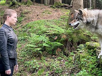 Nora Waldst&auml;ttens letzter Auftritt in der Krimireihe: Hannah Zeiler sucht im Wald nach Spuren. Ein Wolf weist ihr den Weg.