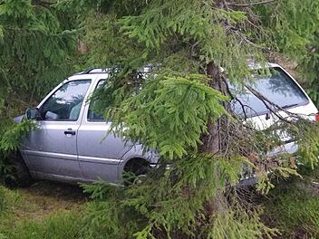 Erst die Bäume bremsten die Fahrt eines 55-Jährigen, der von der KC 21 bei Berglesdorf abgekommen war. Fotos: Marco Meißner