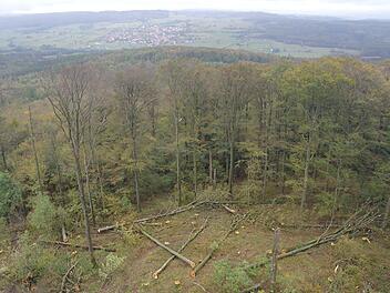 Das ist der Anblick vom Mottener Aussichtsturm nach der Fällaktion - die 160 Jahre alten Buchenstämme werden in der hessischen Kernfläche liegengelassen. Foto: Stephanie Elm