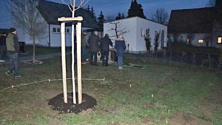 An dieser Stelle könnten, wie abtrassiert wurde, Urnengräber im Friedhof Eichelberg entstehen.
