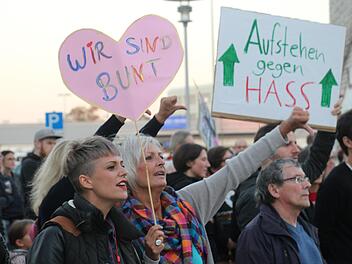 Rund 400 Menschen demonstrierten gestern vor der Fortuna Kulturfabrik in Höchstadt  während eines Wahlkampfauftritts der AfD-Politikerin Alice Weidel. Foto: Christian Bauriedel