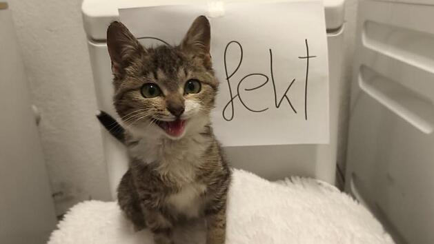 Tierheim N&uuml;rnberg: "Fanny ist sauer" - Ersatzger&auml;t ben&ouml;tigt