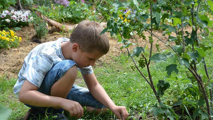 Vor den Ferien bringen die Grundschüler noch einmal ihre Beete in Schuss. Foto: Dagmar Besand