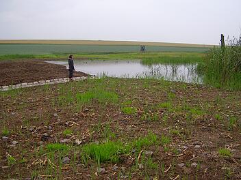 Giebelstadt: Gr&ouml;&szlig;tes Feuchtbiotop im s&uuml;dlichen Landkreis W&uuml;rzburg fertiggestellt