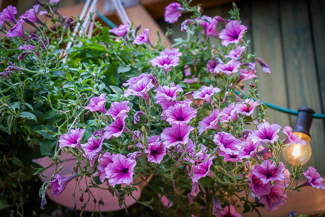 29.05.2015 Erlangen - Bergkirchweih Tag 9 Teil1