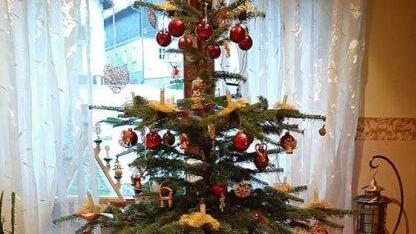 Foto: Karin Ebertsch
