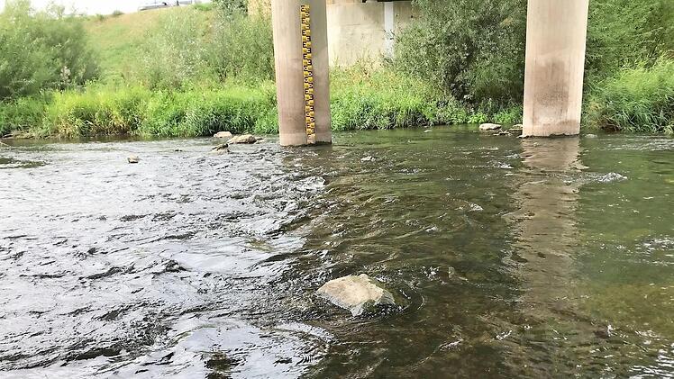 Niedriger Pegel: Der Main führte im vergangenen Sommer unter der Brücke in der Coburger Straße von Lichtenfels nur wenig Wasser.  Foto: Susann Freiburg