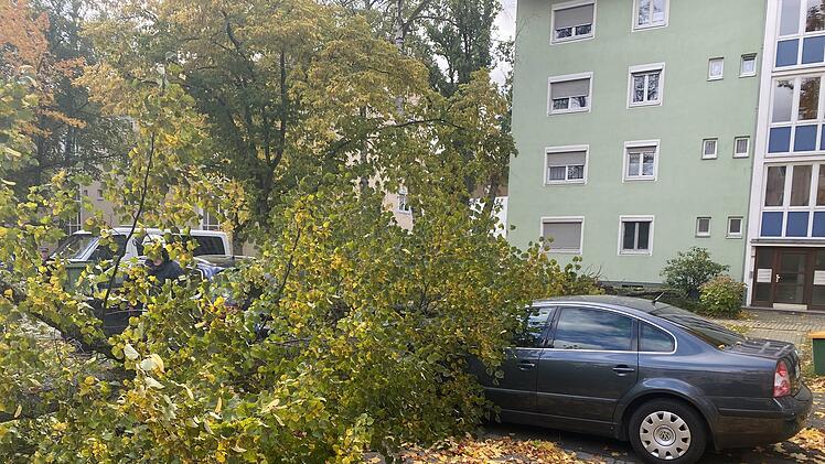 Sturmtief "Ignatz": In Bamberg kracht ein Baum auf geparktes Auto