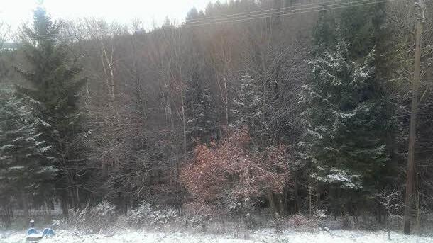 Winterimpressionen Foto: Sandra Jakob