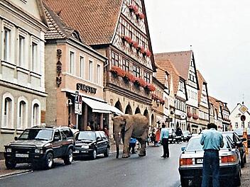 Probelauf mit dem Elefanten am gestrigen Spätnachmittag am Marktplatz Ebern. Heute um 10 Uhr wird Bürgermeister Jürgen Hennemann mit dem jugendlichen Stadtführer Fabian Andritschke auf dem Rücken des Dickhäuters über den Marktplatz reiten.  Foto: Helmut Will