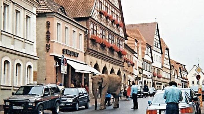 Probelauf mit dem Elefanten am gestrigen Spätnachmittag am Marktplatz Ebern. Heute um 10 Uhr wird Bürgermeister Jürgen Hennemann mit dem jugendlichen Stadtführer Fabian Andritschke auf dem Rücken des Dickhäuters über den Marktplatz reiten.  Foto: Helmut Will