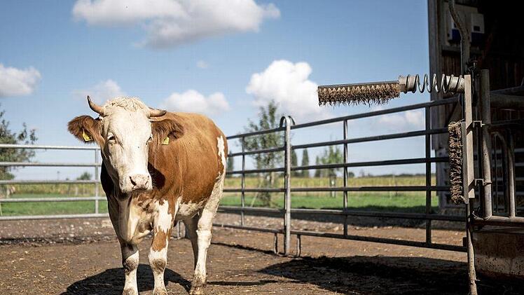 Bei der Agrarreform geht es um Hunderte Milliarden Euro. Es handelt sich um den größten Posten im EU-Budget. Foto: Marius Becker, dpa