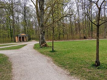 Bamberg: Bund Naturschutz lädt zu besonderem Spaziergang durch den Hainpark