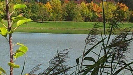 Userfoto: Christa & Horst Kittmann