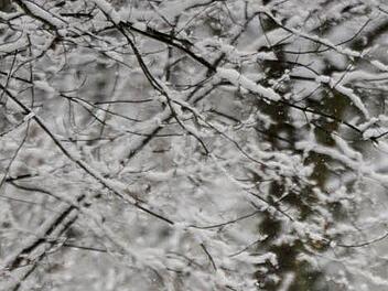 Foto: Daniel Reinhardt/dpa