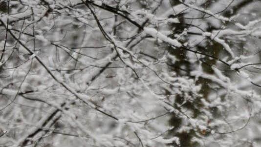 Foto: Daniel Reinhardt/dpa