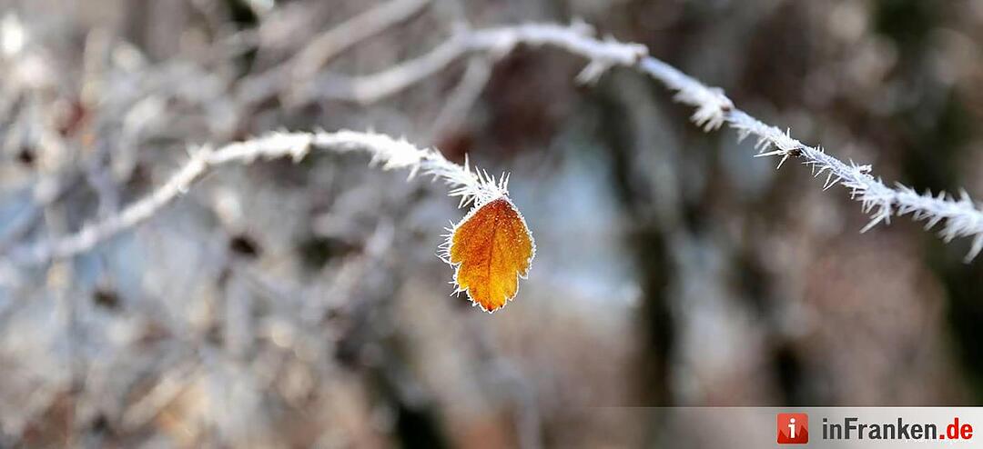 Eis und Schnee in Franken - die schönsten Winterleserfotos