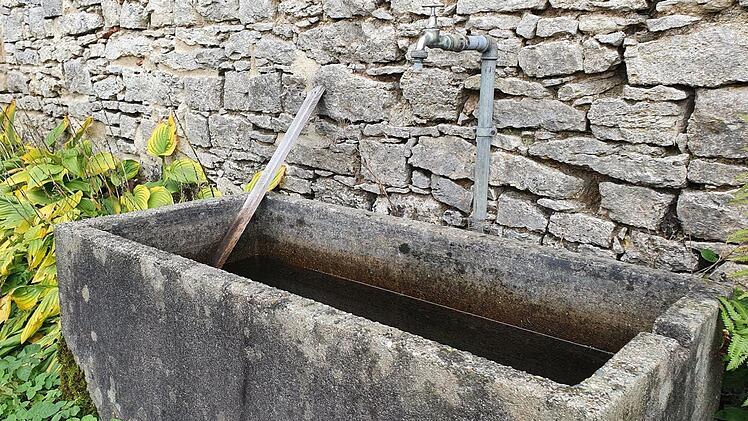 Ausstiegshilfen verhindern, dass Gießbecken zur Falle werden. Foto: Christine Fischer