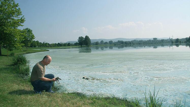 Gerald Kummer vom Bezirksfischereiverein Kulmbach war beim Königsfischen 2014 entsetzt über die Explosion der Blaualgen - auch jetzt hat Kummer schon wieder die ersten türkisblauen Schlieren entdeckt und rechnet damit ,dass jederzeit wieder übler Geruch auftreten könnte.  Foto: Sonja Adam