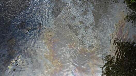 Öl auf der Kronach bei Dörfles Foto: Stefan Wicklein