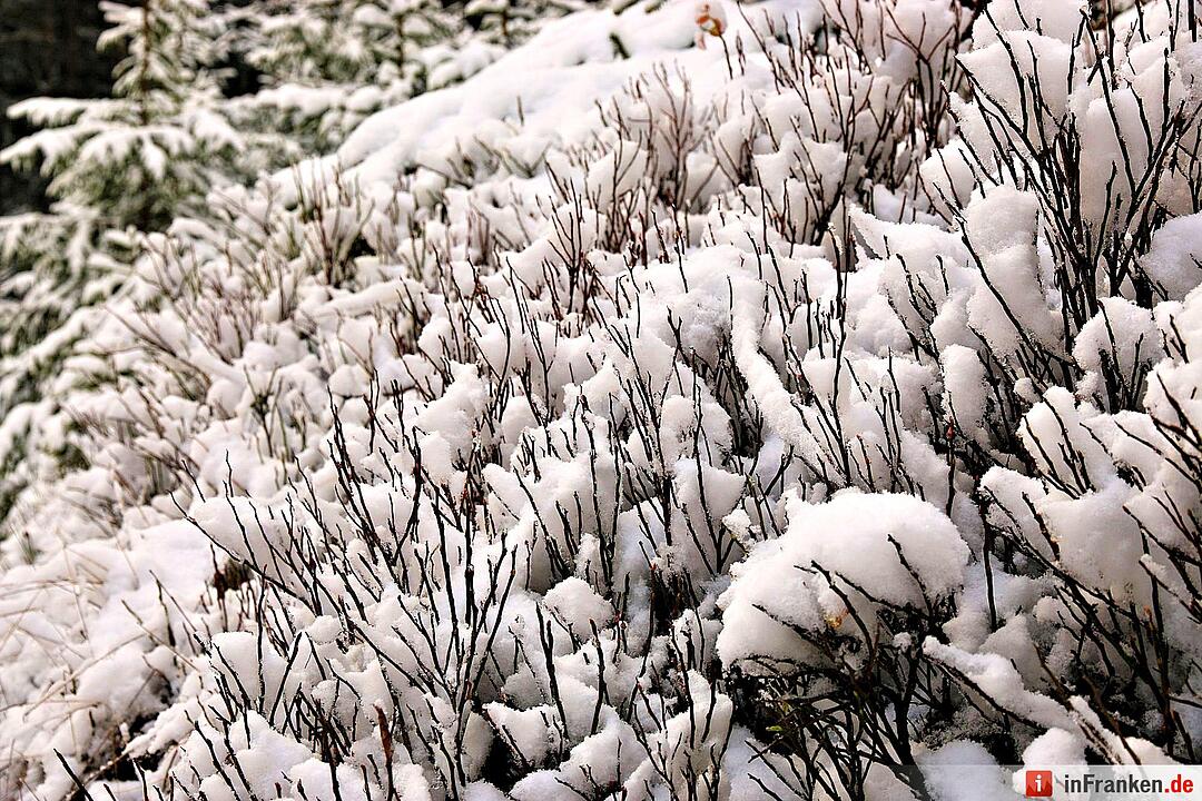 Schnee im Fichtelgebirge