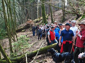 Über Stock und Stein, durch teilweise unwegsames Dickicht und alpin anmutendes Gelände führte die elf Kilometer lange Grenztour entlang Riedenbergs Gemarkungsgrenze.  Fotos: Evelyn Schneider