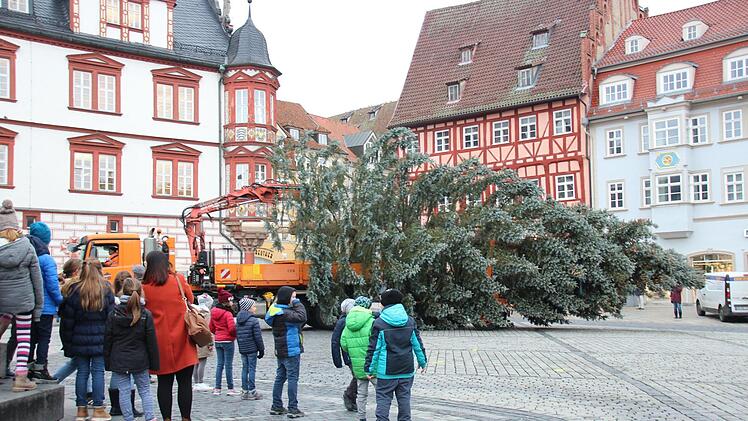 Foto: Niklas Schmitt