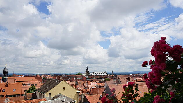 Europawahl im Kreis Bamberg: Hochrechnungen und Ergebnisse