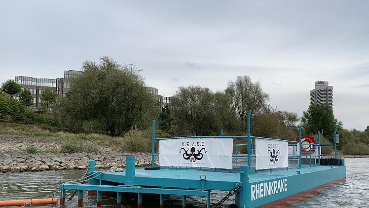 M&uuml;llfalle Rheinkrake