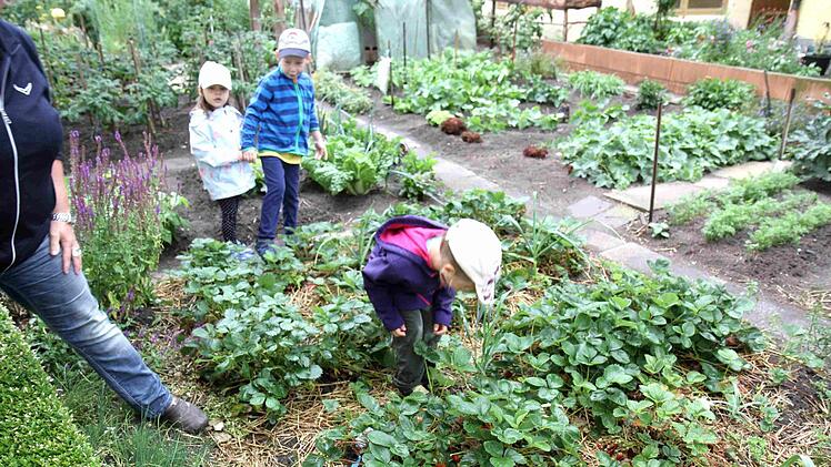 Foto: Richard Sänger