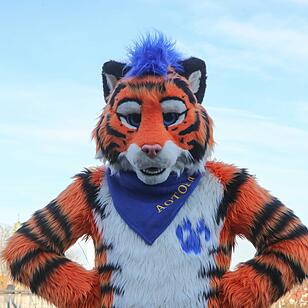 Erster Suitwalk in Bamberg